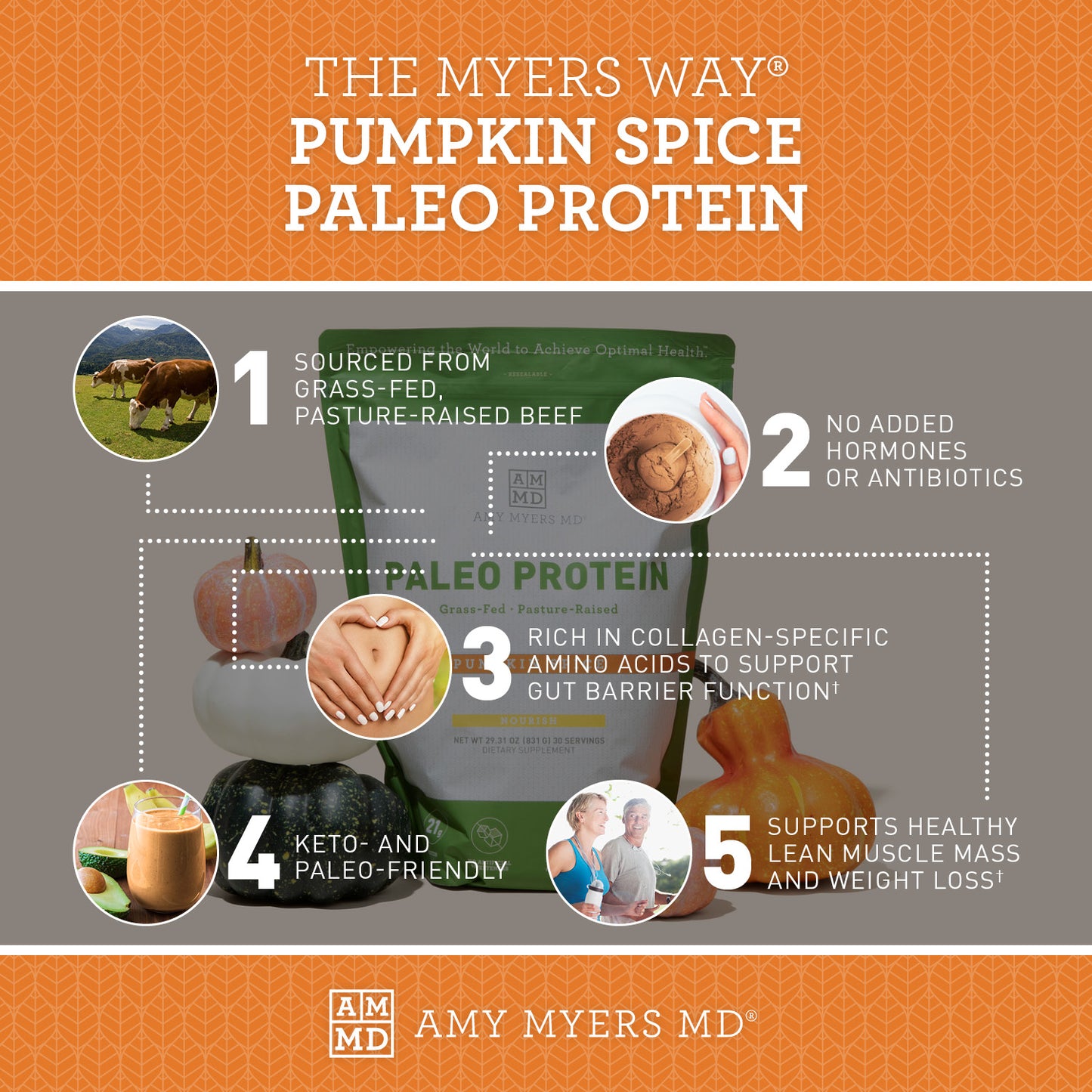 Paleo Protein Pumpkin Spice infographice, 1. Sourced from grass-fed, pasture-raised beef. 2. No added hormones or antibiotics. 3. Rich in collagen-specific amino acids to support gut barrier function†. 4. Keto and Paleo friendly. 5. Supports healthy lean muscle mass and weight loss.†